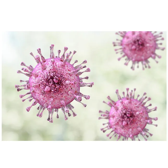 Infectii al virusului herpes